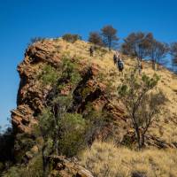 Scale Euro Ridge, one of the highlights of the trail | Gavin Yeates