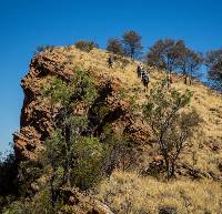 Scale Euro Ridge, one of the highlights of the trail |  <i>Gavin Yeates</i>