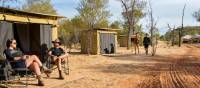 Trekkers relaxing on the porch of their campsites | Shaana McNaught