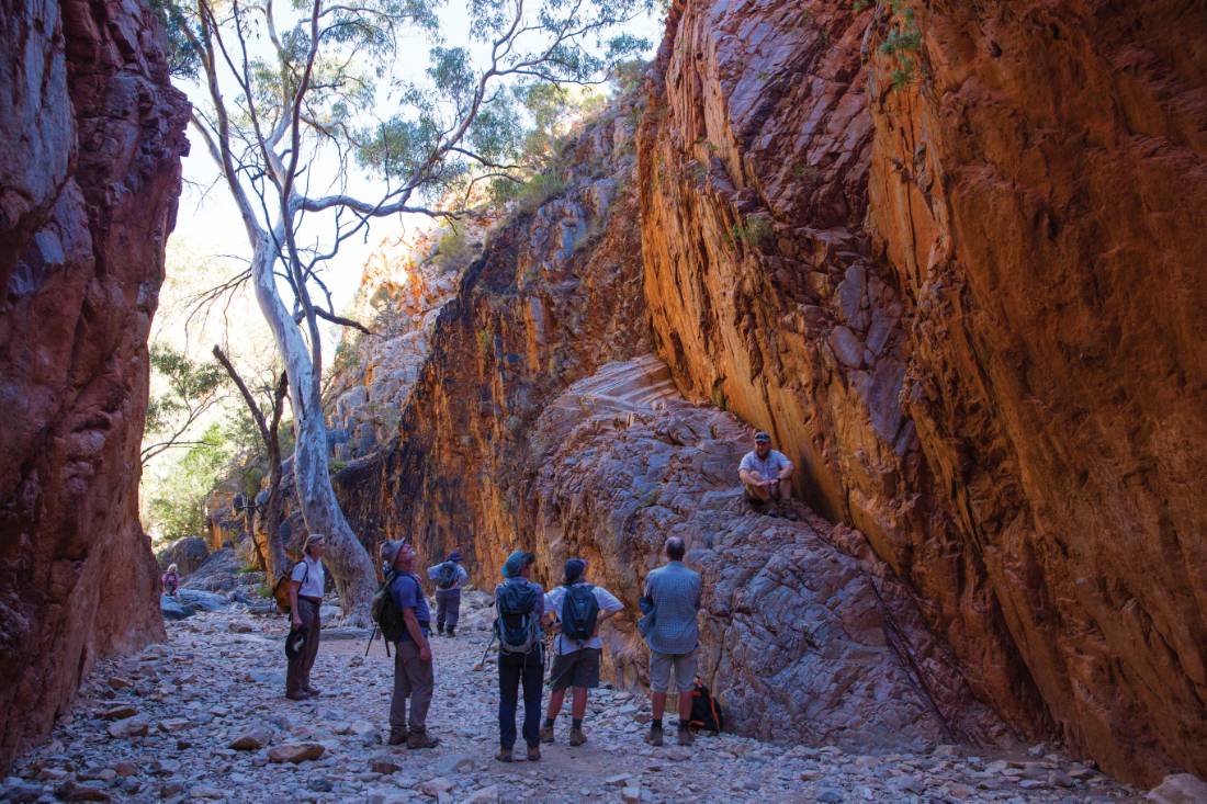 Exploring Standley Chasm on the Larapinta Trail |  <i>Graham Michael Freeman</i>