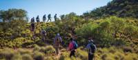 Walking along Central Australia's stunning Larapinta Trail | Graham Michael Freeman