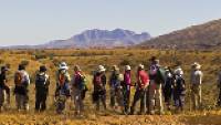 A group trekkers admiring the view along the Larapinta Trail |  <i>Peter Walton</i>