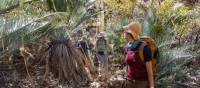 Inarlanga pass is home to moisture-loving plants such as river red gums, cycad palms and ferns | Gavin Yeates