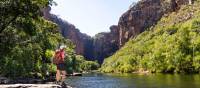 Hiker admiring Jim Jim Falls | Shaana McNaught