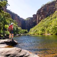 Hiker admiring Jim Jim Falls | Shaana McNaught