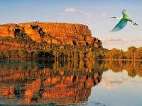 A bird flies over still water in the afternoon sun |  <i>Peter Walton</i>