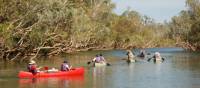 Canoeing the languid tropical waters of the Katherine River | Chris Buykx