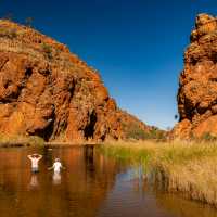 Swim at one of the many waterholes on the Larapinta Trail | Lachlan Gardiner