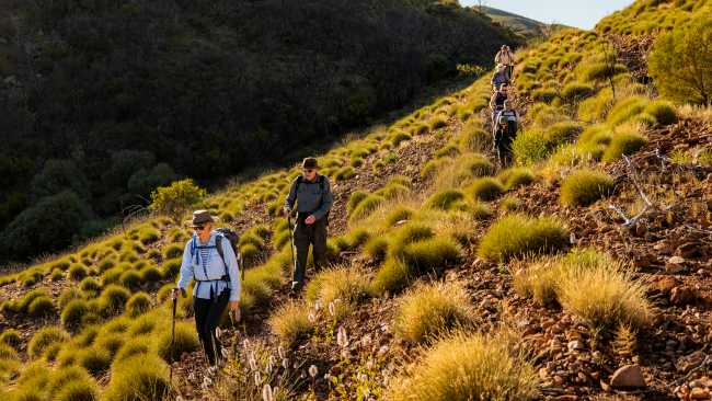Hiking on the Larapinta Trail | Lachlan Gardiner