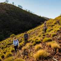 Hiking on the Larapinta Trail | Lachlan Gardiner
