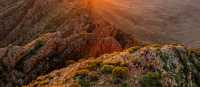 Sunrise is the best time of day to climb Mt Sonder on the Larapinta Trail | Lachlan Gardiner