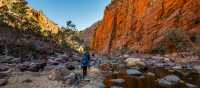Ormiston Pound walk, Larapinta Trail | Lachlan Gardiner