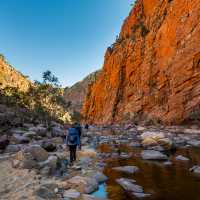 Ormiston Pound walk, Larapinta Trail | Lachlan Gardiner