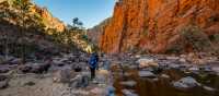 Ormiston Pound walk, Larapinta Trail | Lachlan Gardiner