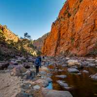Ormiston Pound walk, Larapinta Trail | Lachlan Gardiner