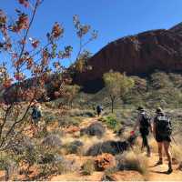 Trekking the Larapinta Trail | Sue Badyari