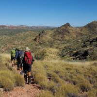 Vibrant landscapes trekking the Larapinta Trail | Linda Murden
