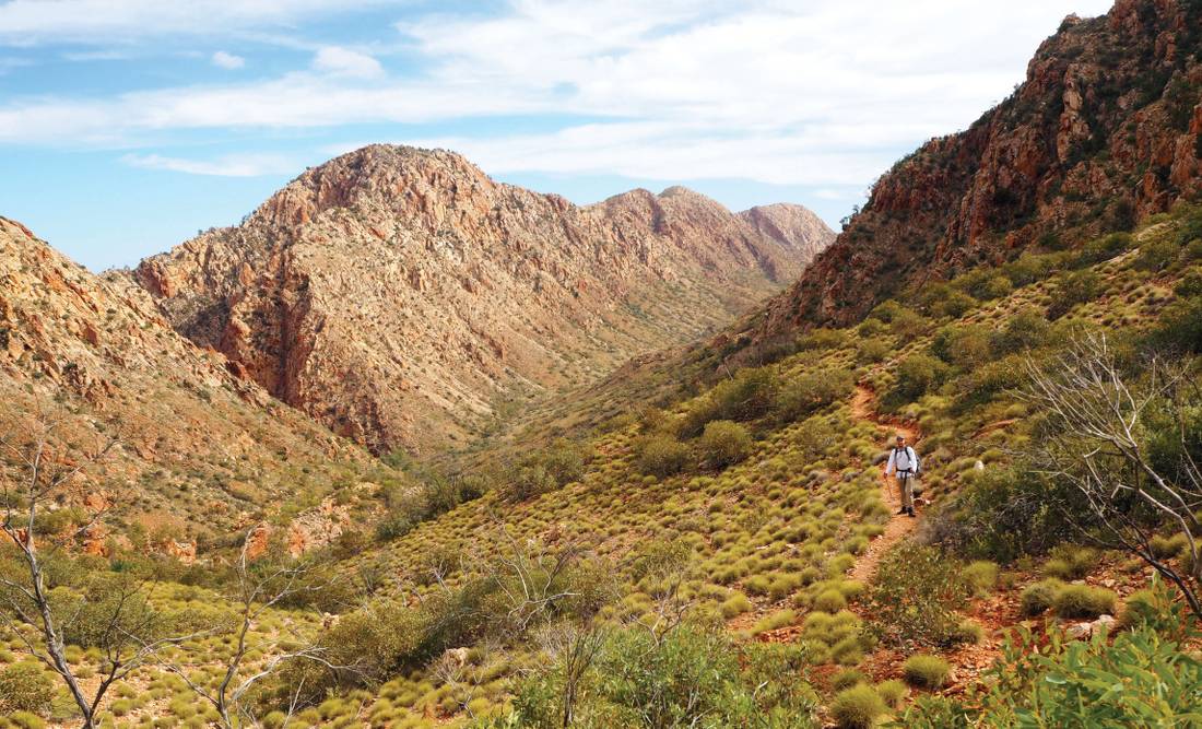 Verdant outback landscape on the Larapinta Trail |  <i>Latonia Crockett</i>