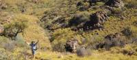 Outback scenery on the Larapinta Trail | Latonia Crockett