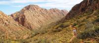 Verdant outback landscape on the Larapinta Trail | Latonia Crockett