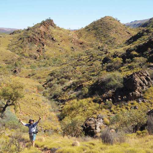 Outback scenery on the Larapinta Trail