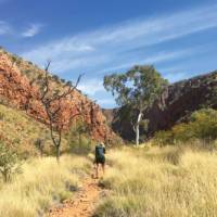 Walking towards Ormiston Gorge | Ayla Rowe