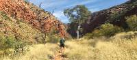 Walking towards Ormiston Gorge | Ayla Rowe