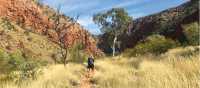 Walking towards Ormiston Gorge | Ayla Rowe