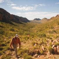 Walking the Larapinta Trek | Aran Price