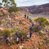 Hiking along the Larapinta Trail | Luke Tscharke
