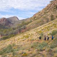 The Larapinta Trail is Australia's most popular desert walking experience | Luke Tscharke