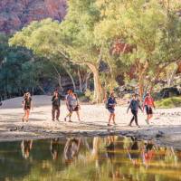 Hiking beside one of the many waterholes along the Larapinta Trail | Luke Tscharke