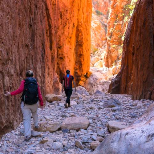 The cultural conversation at Standley Chasm will teach you more about Arrente country