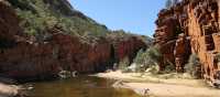 What better way to wash off the day's dust than by taking a dip at Ormiston Gorge | Larissa Duncombe