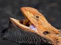 Marvel at the exceptional sights of Kakadu National Park |  <i>Peter Walton</i>