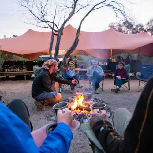 Soak up the sounds of the desert around our campfire
