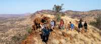 Hiking along the Larapinta Trail, Australia's most iconic desert walking trail | Shaana McNaught