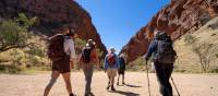 Hiking along the Larapinta Trail, Australia's most iconic desert walking trail | Shaana McNaught