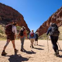 Hiking along the Larapinta Trail, Australia's most iconic desert walking trail | Shaana McNaught