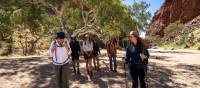 Experience a variety of desert landscapes on the Larapinta Trail | Shaana McNaught