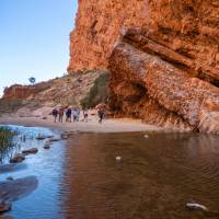 Exploring Simpsons Gap | Shaana McNaught