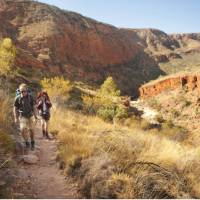 The Larapinta trail, known as one of Australia's best hikes | Paddy Pallin