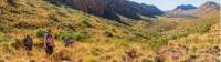 Trekkers making their way along the Larapinta Trail |  <i>Gavin Yeates</i>