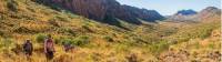 Trekkers making their way along the Larapinta Trail |  <i>Gavin Yeates</i>