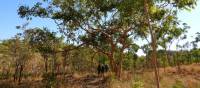 Remote trekking along the Jatbula Trail | Holly Van De Beek