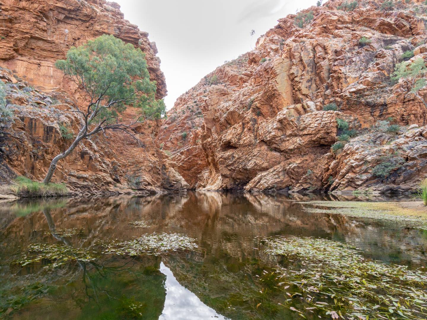Waterholes along the Larapinta Trail are like an oasis in the desert |  <i>David Coorey</i>