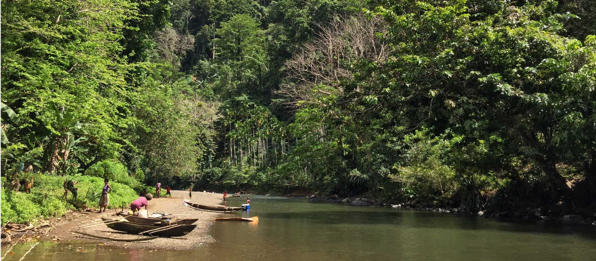 PNG Regen 2030 Project Cool Earth