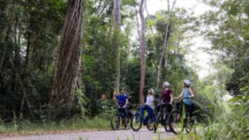 Experience the best of Australia's rainforest by bike