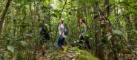 Become immersed in the Australian rainforest