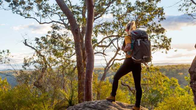 Admire the beauty of Girraween National Park